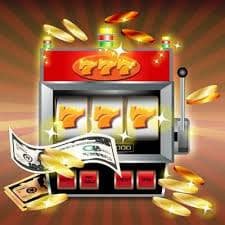 wynn71